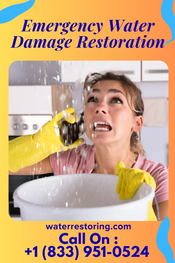 Emergency Water Damage Restoration in Justice, IL
