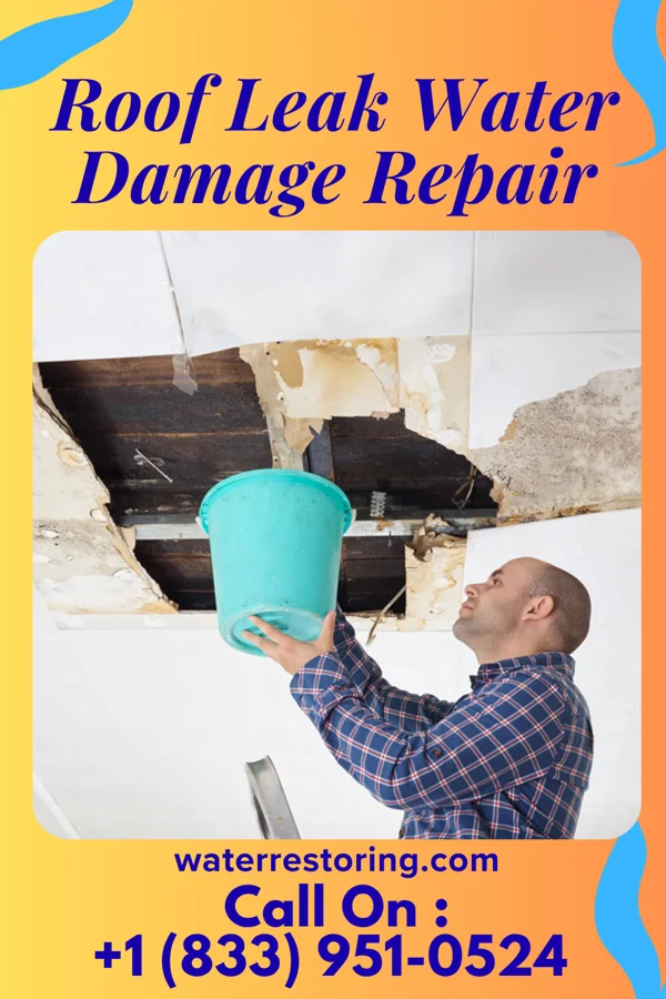 Roof Leak Water Damage Repair in Justice, IL