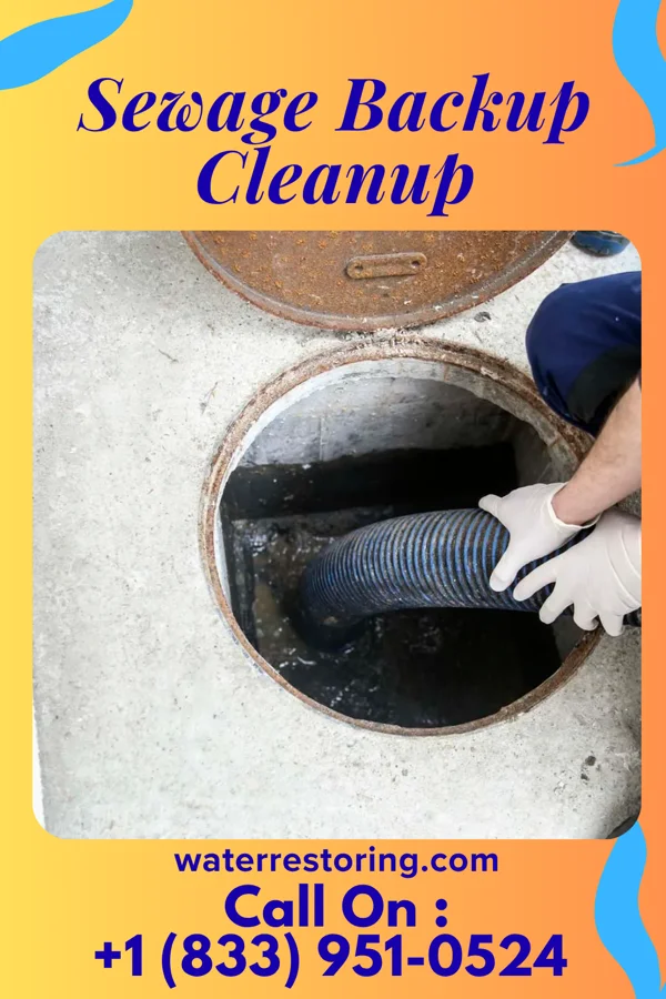 Sewage Backup Cleanup in Justice, IL